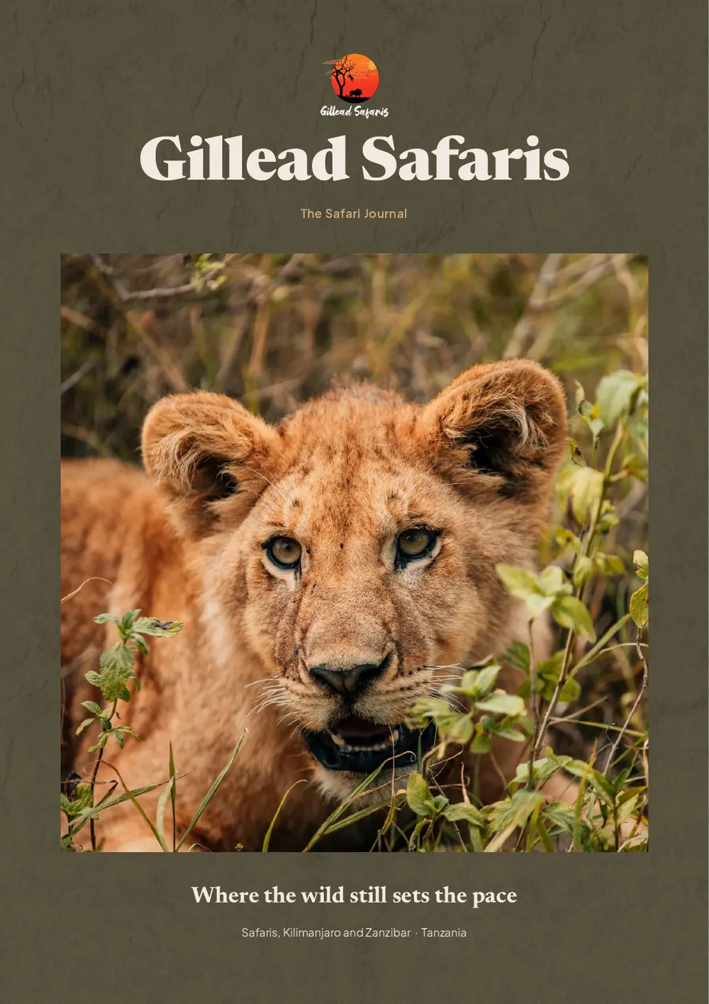 The Safari Journal, the Gillead Safaris brochure