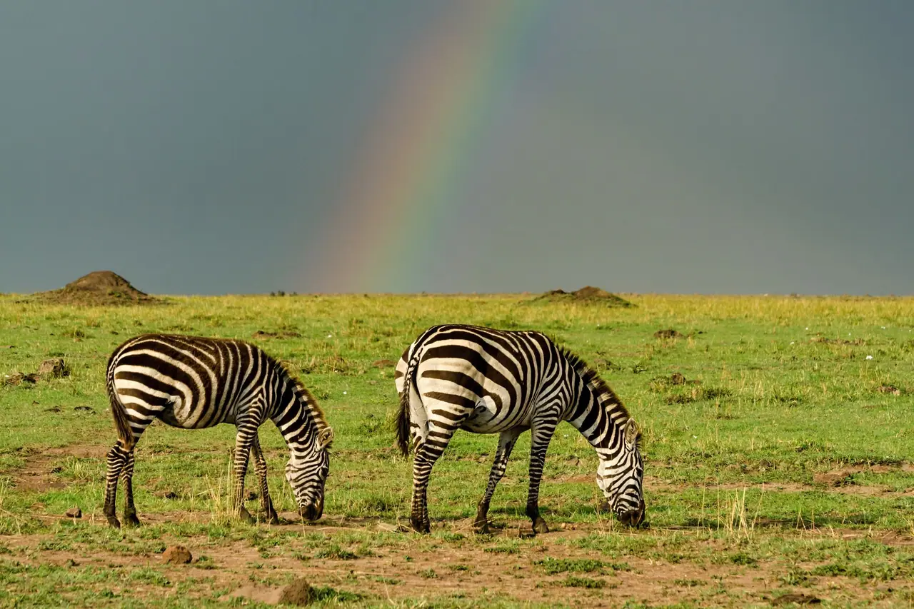 Tanzania's Seasons