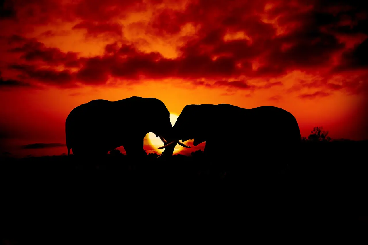 13 Days Tanzania in Style